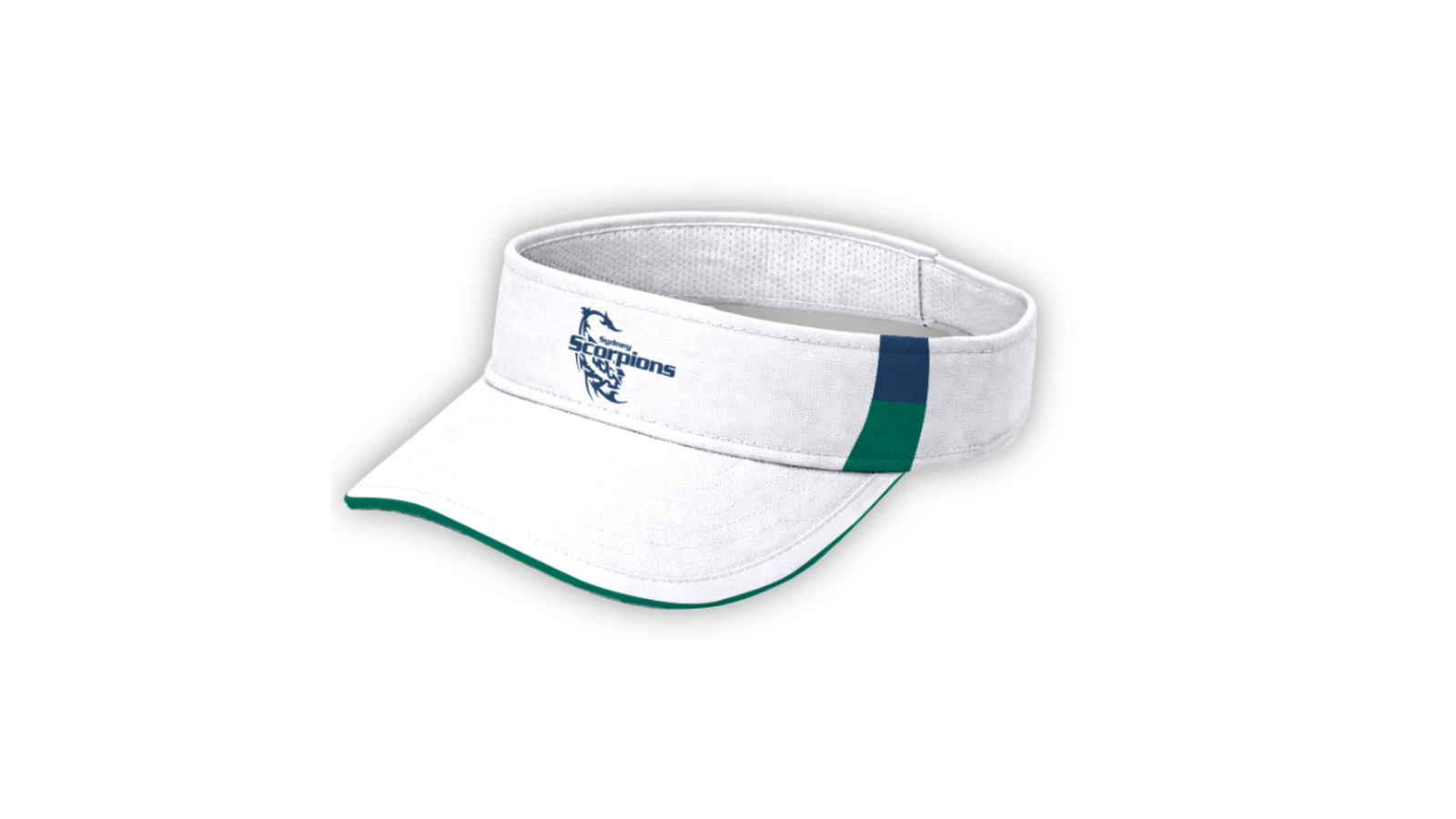 Scorpions Touch Visor